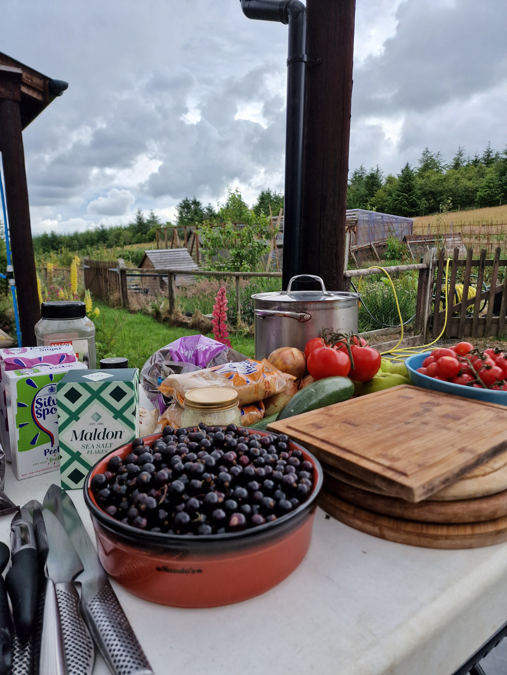 Preserving Over Fire Workshop
