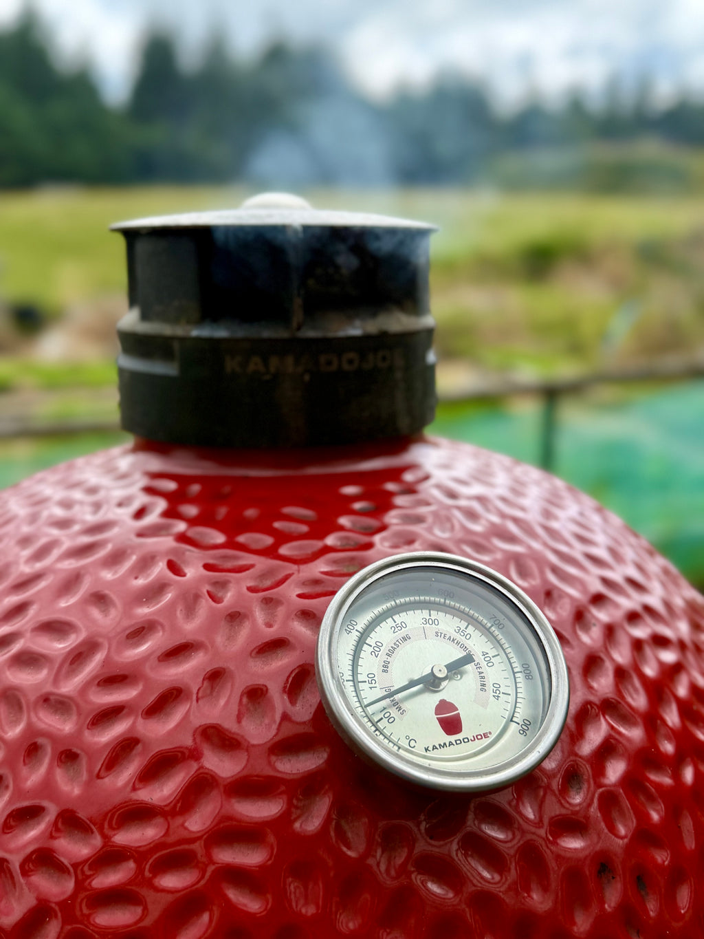 BBQ & Firecooking Workshop